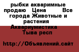 рыбки акваримные продаю › Цена ­ 30 - Все города Животные и растения » Аквариумистика   . Тыва респ.